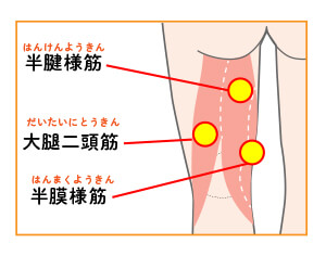 ノアライルズの走り方の秘訣は？練習メニューや筋肉トレーニングを調査